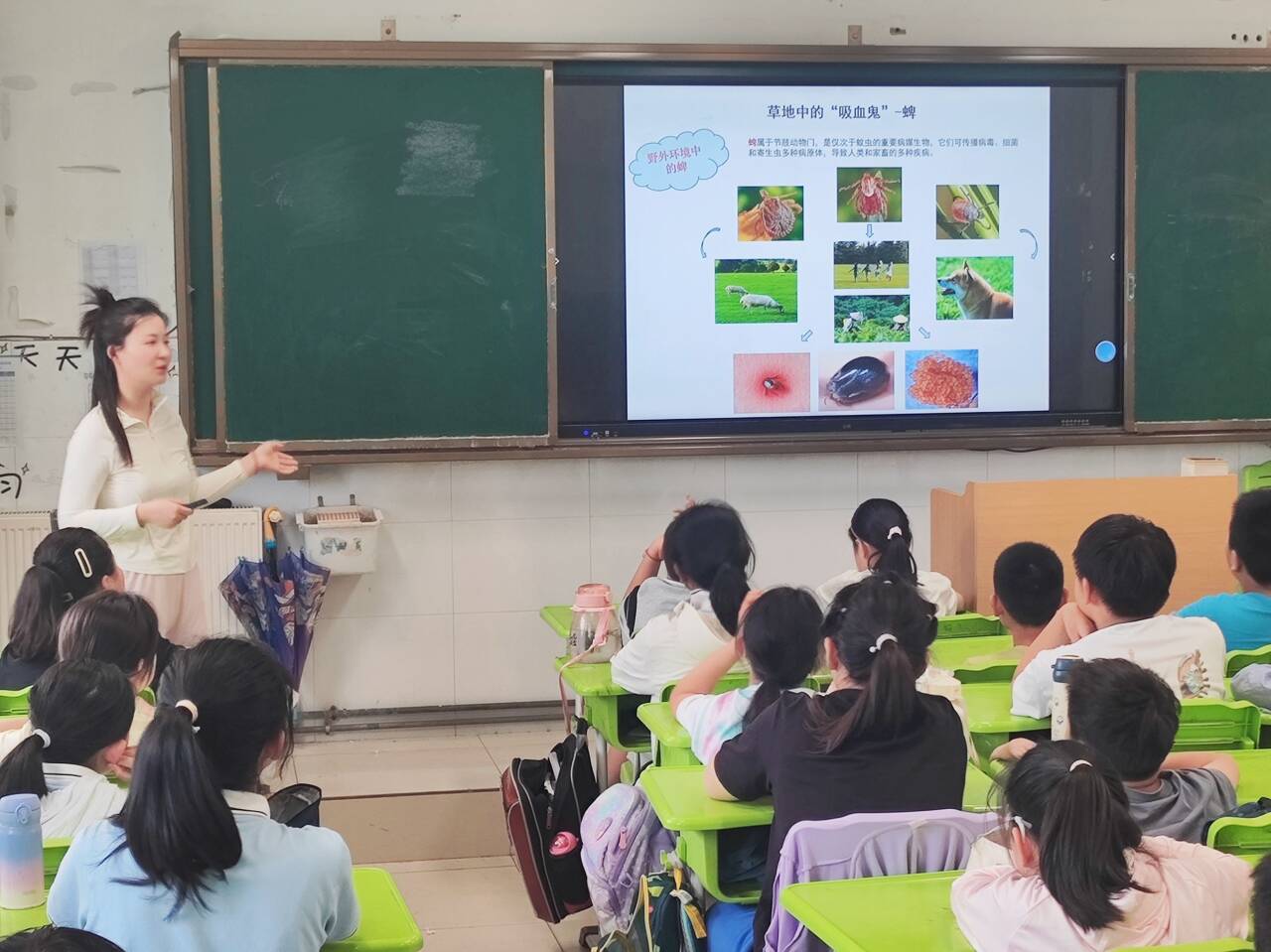 /crm/product/image/20240605/1717585099759026936.jpg /crm/product/image/20240605/1717585099759026936.jpg